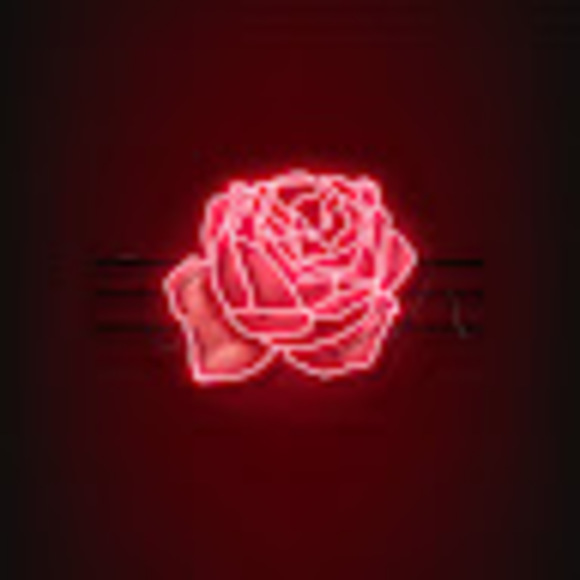 Profile Picture of Lucero Palacios (@oh_lucyigs) on Poshmark