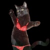 Profile Picture of Seth Hanson (@@sethhanson) on Tiktok