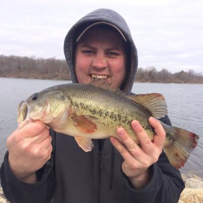 Profile Picture of Grant Rodgers (@GrantMRodgers) on Twitter
