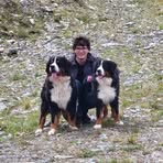 Profile Picture of Colin Bodmer (@Colin-Bodmer) on Facebook