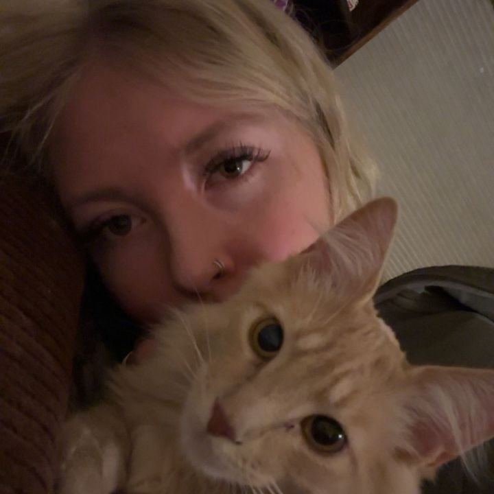 Profile Picture of sylvia! (@sylvialb) on Tiktok