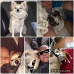 Profile Picture of Lilly Mitchell❣️Xxx (@xlillymitchellx) on Instagram