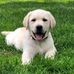 Profile Picture of Scott Harris (@scott.harris.18007) on Facebook