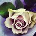 Profile Picture of Anne Lise Solbraa Larsen (@annelisesolbraa) on Pinterest