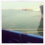 Profile Picture of Cathy Trinh (@kitmowergreen) on Instagram