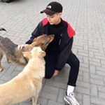 Profile Picture of Роберт Вишня (@keshakisa666) on Instagram