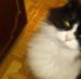 Profile Picture of Phyllis Piper (@phyllis.piper.92) on Facebook