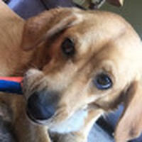 Andrew Phinney - Quora Profile Picture of Andrew Phinney (@andrew-phinney-2) on Quora