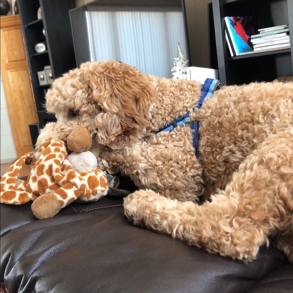 Profile Picture of Ashlyn Marble (@ashlynm5) on Poshmark