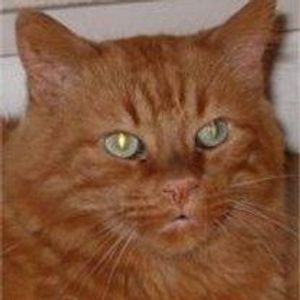 Profile Picture of Fred Ragot (@fred_anne) on Myspace