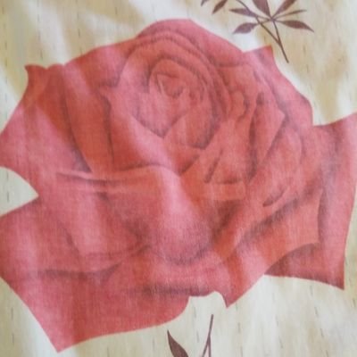 Profile Picture of MarkBurkett (@Mark__Burkett) on Twitter