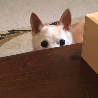 Profile Picture of Kimberly Osada (@MsOsadatweets) on Twitter