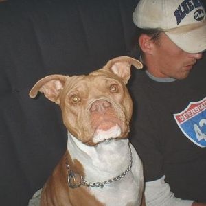 Profile Picture of James Kilgore (@kill_james_gore) on Myspace