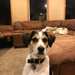 Profile Picture of Jody Tanner (@jody.tanner.3) on Instagram