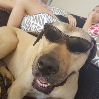 Profile Picture of Joshua Hartshorne (@JoshuaHartshor1) on Twitter