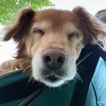 Profile Picture of Bobbi-Jo Holmes (@bobbi_jo_holmes) on Instagram