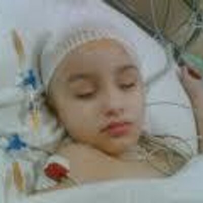 Profile Picture of Breeding Bailey (@@BaileyMixBreed) on Twitter