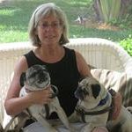 Profile Picture of Chris Crippen (@chriscrip) on Pinterest