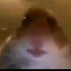 Profile Picture of felipe ledesma (@@felipeledesma25) on Tiktok
