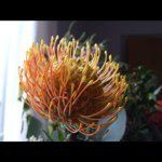 Profile Picture of Brian Horton (@brianhorton) on Instagram