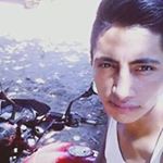 Profile Picture of Jose Camey (@camey_j) on Instagram