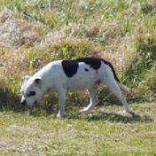 Profile Picture of Daniel Barry (@danielbarry2291) on Youtube