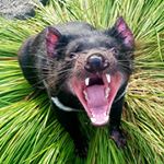 Profile Picture of Andrew Hardie (@cosmo_hardie) on Instagram