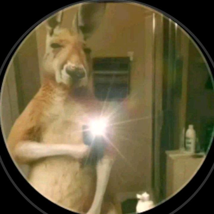 Profile Picture of angel pereira (@angelborrego64) on Tiktok