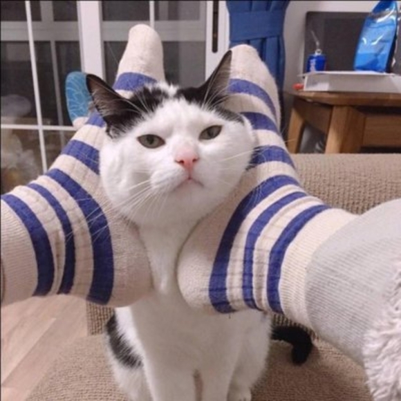 Profile Picture of David Lyons (@ntedbassasibow) on Poshmark