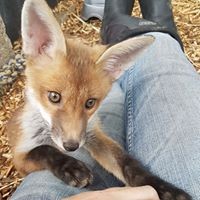 Profile Picture of Penny Post (@penny-post-5) on Quora