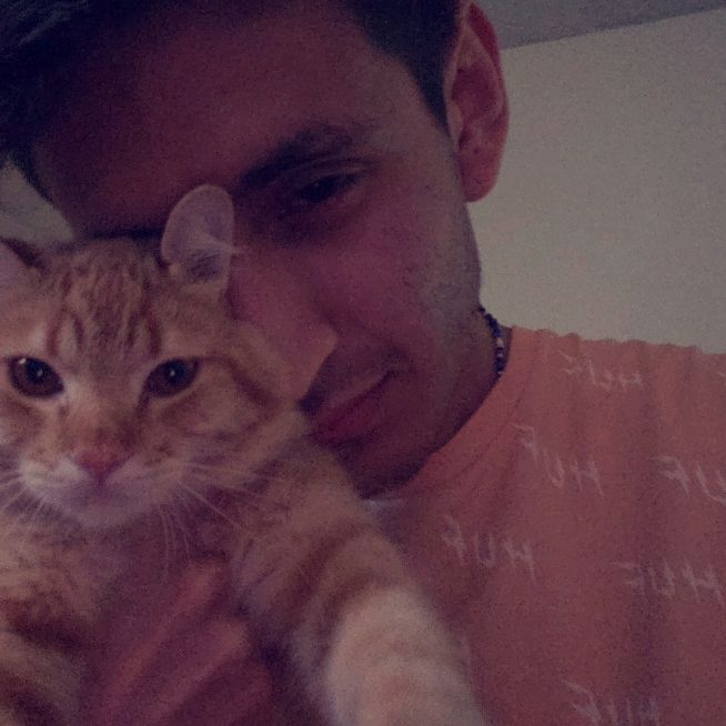 Profile Picture of Ralph & Dexter👦🏽🐈 (@wreckitralph93) on Tiktok