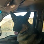 Profile Picture of Corey Riggins (@c_riggins89) on Instagram