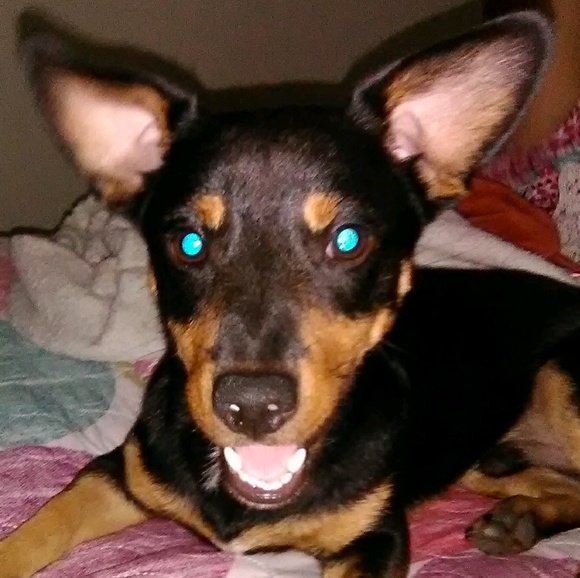 Profile Picture of Jasmin Zepeda (@jasmin_zepeda) on Poshmark