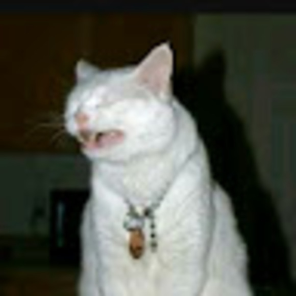 Profile Picture of Oakley Alliman (@oakleyyoshthree) on Poshmark