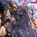 Profile Picture of Alvin Cunningham (@alvin.cunningham.3367) on Facebook