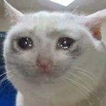 Profile Picture of Kevin:rauchendnjf (@kevin_rauchendnjf) on Instagram