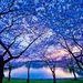Profile Picture of Amy Kenfield (@amouslynn) on Pinterest