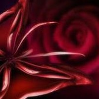 Profile Picture of Ronya Goumaa (@ronya-goumaa-1) on Quora