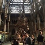 Profile Picture of Stuart Milner (@enviro.milner) on Instagram