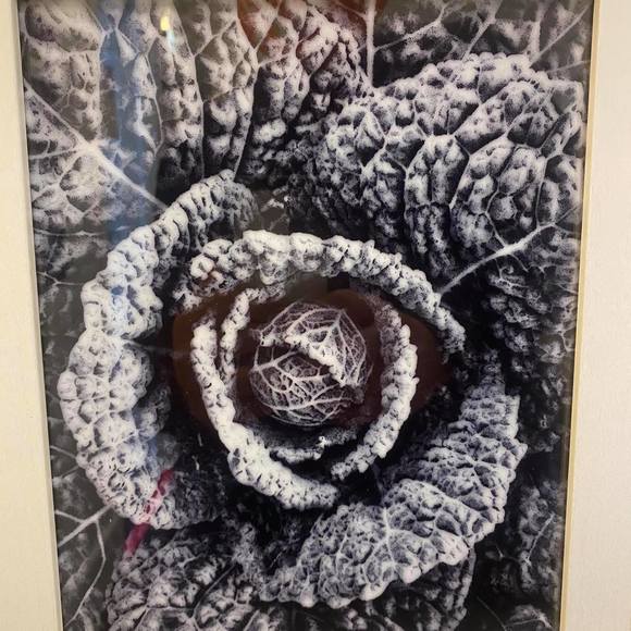 Profile Picture of Manny Santana (@manny_santana) on Poshmark