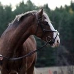 Profile Picture of abigail reimer (@spunkystrides) on Instagram