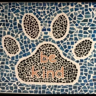 Profile Picture of Schirra Room 210 (@Schirra5thGrade) on Twitter