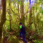 Profile Picture of John Sasuluya Mangaliman (@adamjael_28) on Instagram