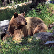 Profile Picture of M Freitas (@mfreitas2120) on Youtube