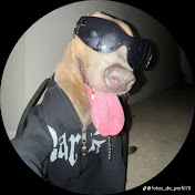 Profile Picture of Paula Morrison (@PaulaMorrison-w2v) on Youtube
