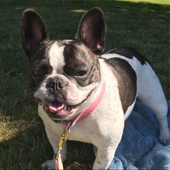 Profile Picture of Madalaine Carlington (@madalaine_c) on Poshmark