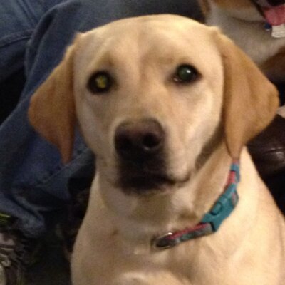 Profile Picture of Michael Moldoch (@mmold4) on Twitter