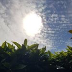 Profile Picture of Jigna Joshi (@jignajoshi06) on Instagram