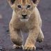 Profile Picture of Praneel Chand (@praneel.chand.568) on Facebook