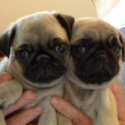 Profile Picture of Dylan Mcfarlane (@NlrDylan) on Twitter